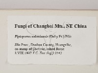 登錄號:F0008113藏品圖，第2張