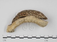 登錄號:F0008113藏品圖，第3張