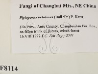 登錄號:F0008114藏品圖，第2張