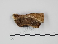 登錄號:F0008114藏品圖，第1張