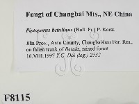 登錄號:F0008115藏品圖，第2張