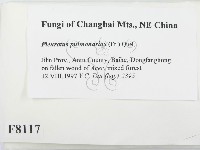 登錄號:F0008117藏品圖，第2張