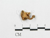 登錄號:F0008118藏品圖，第1張