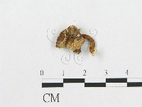 登錄號:F0008118藏品圖，第3張