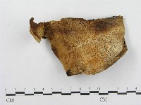 登錄號:F0008119藏品圖，第1張