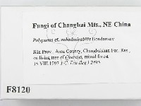 登錄號:F0008120藏品圖，第2張