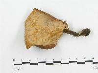 登錄號:F0008121藏品圖，第1張