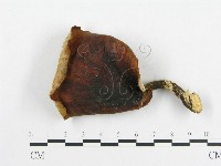 登錄號:F0008121藏品圖，第3張