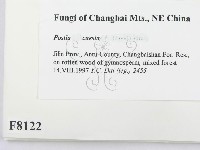 登錄號:F0008122藏品圖，第2張