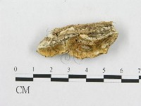 登錄號:F0008122藏品圖，第1張