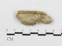 登錄號:F0008122藏品圖，第3張