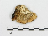 登錄號:F0008123藏品圖，第3張