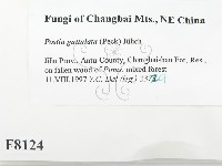 登錄號:F0008124藏品圖，第2張