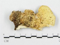 登錄號:F0008124藏品圖，第1張