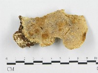 登錄號:F0008124藏品圖，第3張