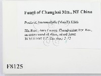 登錄號:F0008125藏品圖，第2張