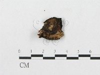 登錄號:F0008125藏品圖，第3張