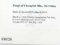 登錄號:F0008126藏品圖，第2張