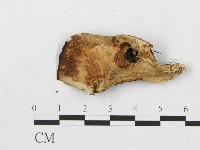 登錄號:F0008126藏品圖，第1張