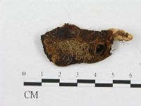 登錄號:F0008126藏品圖，第3張