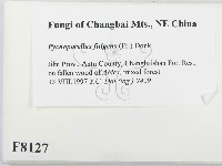 登錄號:F0008127藏品圖，第2張