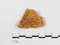 登錄號:F0008127藏品圖，第1張