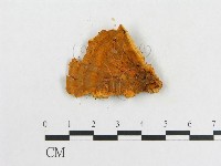 登錄號:F0008127藏品圖，第3張