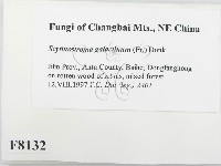 登錄號:F0008132藏品圖，第2張