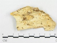 登錄號:F0008132藏品圖，第1張