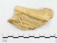 登錄號:F0008132藏品圖，第3張