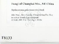 登錄號:F0008133藏品圖，第2張