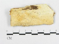 登錄號:F0008133藏品圖，第1張