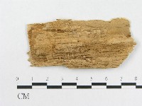 登錄號:F0008133藏品圖，第3張