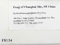 登錄號:F0008134藏品圖，第2張