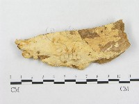 登錄號:F0008134藏品圖，第3張