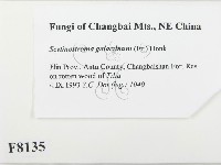 登錄號:F0008135藏品圖，第2張