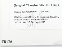 登錄號:F0008136藏品圖，第2張