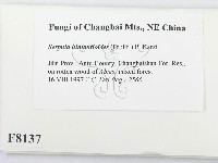 登錄號:F0008137藏品圖，第2張