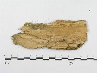 登錄號:F0008137藏品圖，第3張