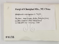 登錄號:F0008138藏品圖，第2張