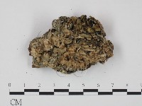 登錄號:F0008138藏品圖，第1張