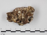 登錄號:F0008138藏品圖，第3張