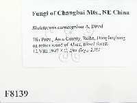 登錄號:F0008139藏品圖，第2張