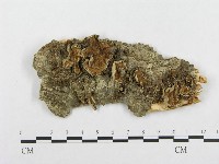 登錄號:F0008139藏品圖，第1張