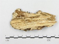 登錄號:F0008139藏品圖，第3張