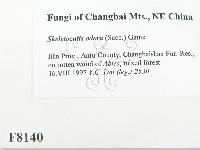 登錄號:F0008140藏品圖，第2張