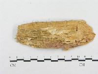 登錄號:F0008140藏品圖，第3張