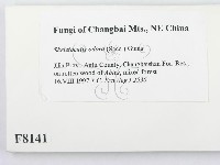 登錄號:F0008141藏品圖，第2張