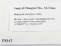 登錄號:F0008142藏品圖，第2張