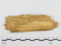 登錄號:F0008142藏品圖，第3張